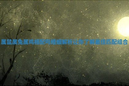 属 ? 鼠属兔属鸡相配吗婚 ? 姻解析让你了解最佳匹配组合