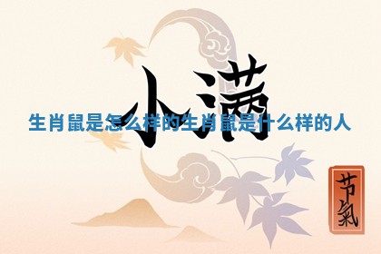 生肖鼠是怎么样 ? 的 生肖鼠是什么样的人 ?