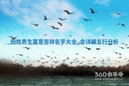 田姓男生寓意吉祥名字大全，含详细五行分析
